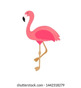 Pink flamingo illustration isolated on white background. Hand drawn cute flamingo. Exotic tropical bird. Summer design element for print, t-shirt, poster, textile, card. Vector illustration.