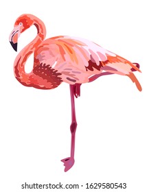 Pink flamingo illustration isolated on white background