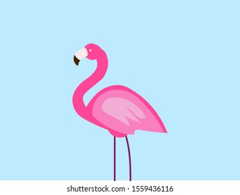 Pink flamingo, illustration, vector on white background.