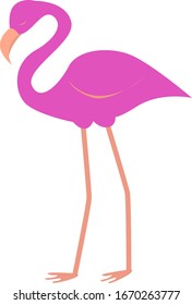 Pink flamingo, illustration, vector on white background.