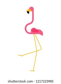 Pink flamingo isolated. Bird long legs and neck.
