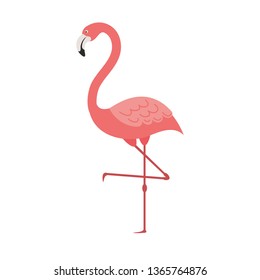 pink flamingo isolated icon