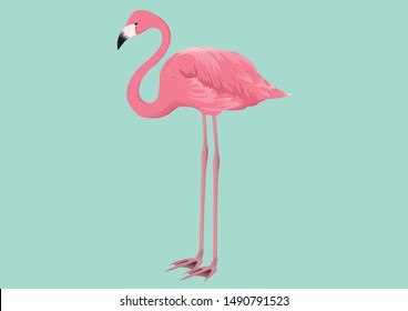 Pink flamingo isolated light green background
