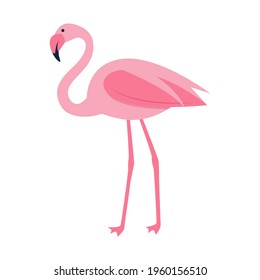 Pink flamingo. Isolated on a white background. Vector illustration