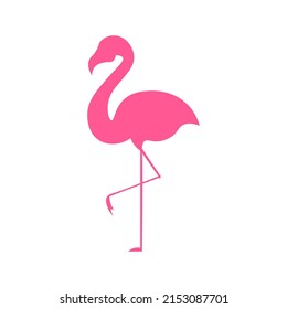 Pink flamingo isolated on white background, vector illustration.