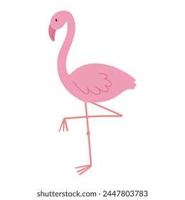 Pink flamingo isolated on white background. Flamingo vector illustration. Cute exotic bird.