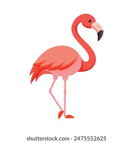 pink flamingo isolated on white