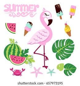 Pink flamingo isolated on white background with ice creams and watermelons. Vector illustration