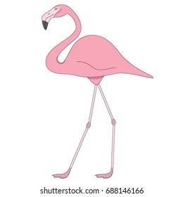 Pink Flamingo isolated on white background. Vector illustration