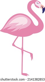 Pink Flamingo isolated vector file