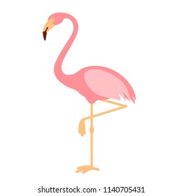 Pink Flamingo isolated vector illustration