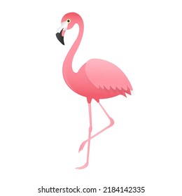 Pink Flamingo Isolated White Background With Gradient Mash, Vector Illustration