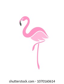 Pink flamingo. Logo. Exotic bird. Isolated flamingo on white background