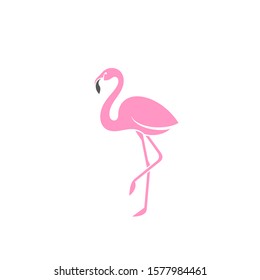 Pink flamingo. Logo. Exotic bird. Isolated flamingo on white background 