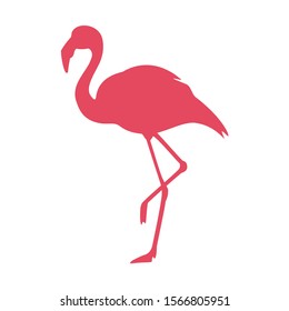 Pink flamingo logo silhouette vector