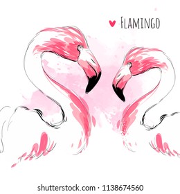 Pareja amorosa rosa Flamingo romántica vectorial acuarela ilustraciones a mano sobre fondo blanco para la moda y el diseño de tarjetas de felicitación.