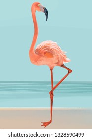 Flamingo rosa en un vector de playa