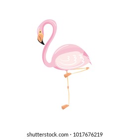 Pink flamingo on one leg exotic tropical bird vector Illustration