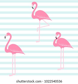 Pink flamingo on stripe pattern, exotic tropical bird vector, summer background