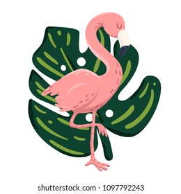 Pink flamingo on the tropical monstera leaf. Exotic bird illustration, summer design for poster, greeting card, cover, print, tag, sticker, invitation. Vector