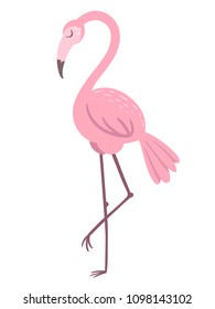 A pink flamingo on white background. Vector illustration.