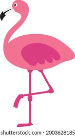 Pink flamingo on white background. Vector illustration.