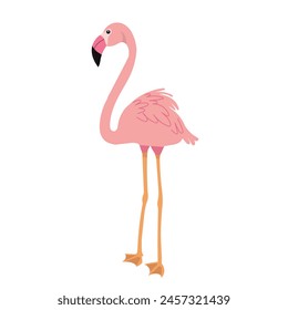 pink flamingo on white background vector