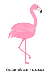 Pink flamingo on white background