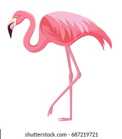 Pink flamingo on a white background. Vector illustration.