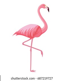 Pink flamingo on a white background. Vector illustration.