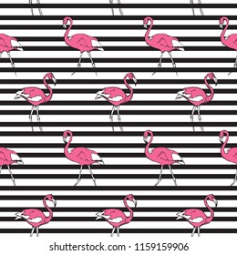 Pink flamingo pattern