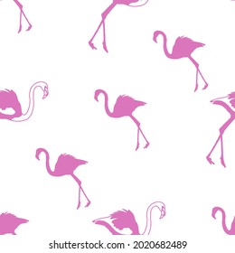 Diseño del patrón de flamenco rosado en fondo blanco