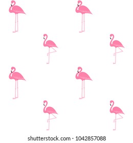 Pink flamingo pattern, exotic tropical bird vector, summer beautiful fashion background on white