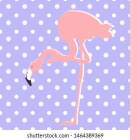 Pink flamingo, pattern on the background of a seamless pattern in peas, vector illustration