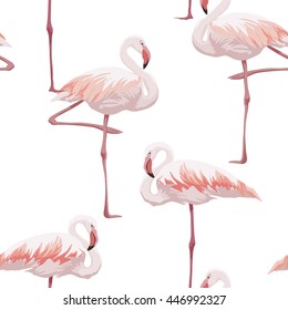 Pink flamingo seamless pattern