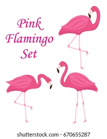 Pink flamingo set of objects. Isolated on white background. Vector illustration
