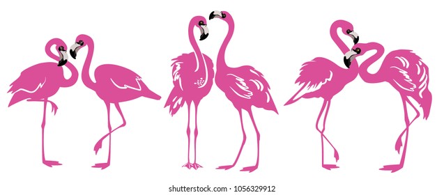 Pink flamingo set, vector illustration. Exotic flamingo bird in different poses decorative design elements collection. Pink flamingo isolated on white background