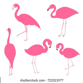 Pink flamingo set. Vector illustration. Cute flamingo bird in different poses, modern design elements collection. Bright pink birds on white background. Can be used for logo, print, textile, card, web