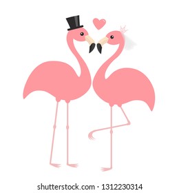 Pink flamingo set. Wedding couple. Exotic tropical bird. Black hat, veil, heart. Bride and groom. Happy Valentines Day. Cute cartoon character. Zoo animal. Flat design. White background Vector