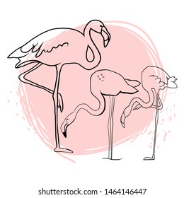 Pink flamingo silhouette, flock of flamingos, drawing, vector illustration