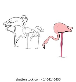 Pink flamingo silhouette, flock of flamingos, drawing, vector illustration