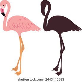 pink flamingo with silhouette on white background vector