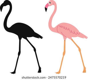 pink flamingo with silhouette, vector