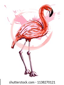 Pink flamingo in sketch style, isolated on white. Vector illustration.