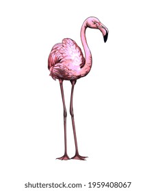 Pink flamingo from a splash of watercolor, colored drawing, realistic. Vector illustration of paints