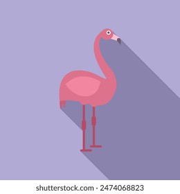 Pink flamingo standing on its long legs