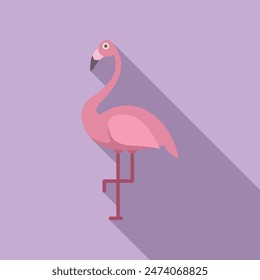 Pink flamingo is standing on one leg with its neck curved in an elegant s shape