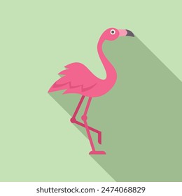 Pink flamingo standing on one leg with a long shadow