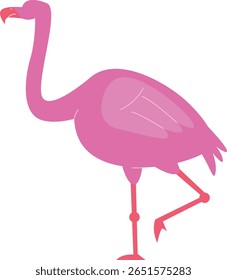 Flamingo Rosa de Pé sobre Ilustração de Uma Perna