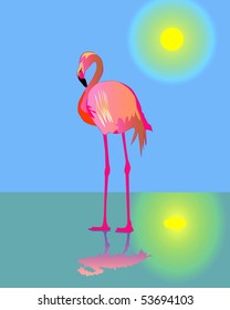 Pink flamingo standing on a wet ground against the solar blue sky